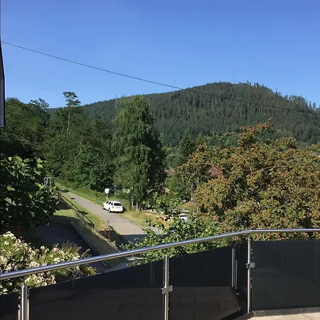 아파트 Am Eiberg 바드윌드바드